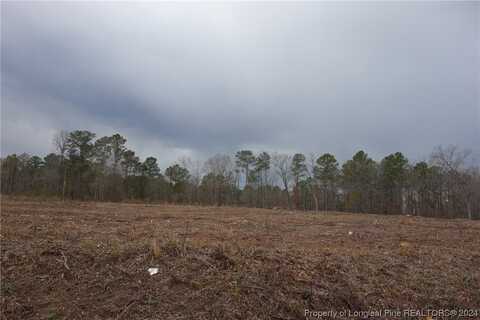 Tract 6 Odum Road, Lumberton, NC 28358