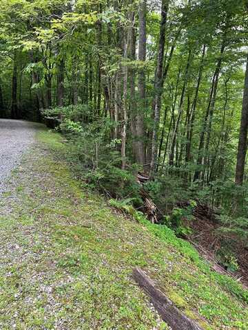 Lot3sec3 Rhododendron Drive, Topton, NC 28781