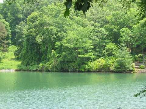 Lot 5 Old Hwy 64 E, Hayesville, NC 28904