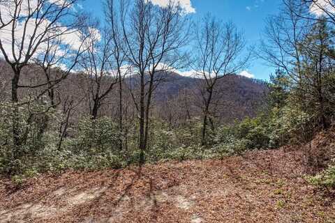 Lot 51 Highlands Pass, Franklin, NC 28734