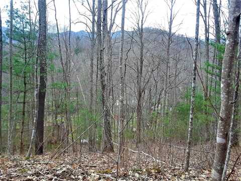 Flagstaff Dr, Sylva, NC 28779