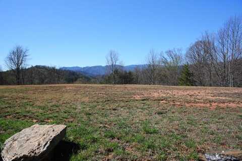 Lot 4 East Mesa Road, Whittier, NC 28789