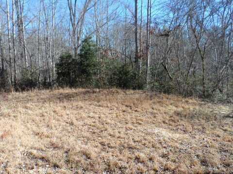 Lot 26 East Mesa Road, Whittier, NC 28789