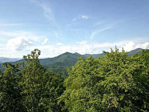 Lot 60 Bear Paw Ridge, Whittier, NC 28789