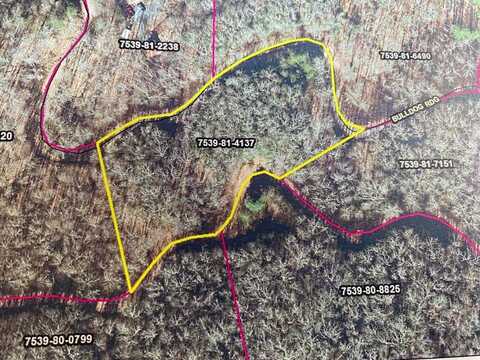 Lot 67 Mountain Forest Estates, Sylva, NC 28779