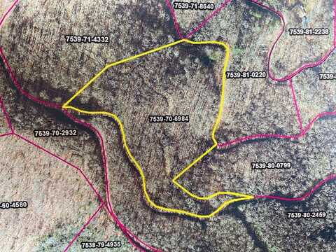 Lot 70 Mountain Forest Estates, Sylva, NC 28779