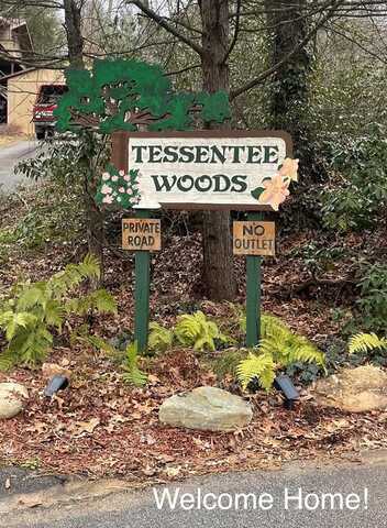 Tessentee Woods Rd, Franklin, NC 28734