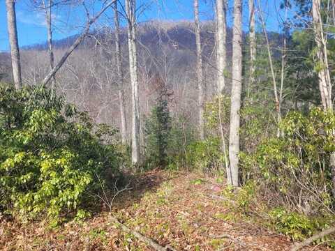 Garnet Rd, Sylva, NC 28779