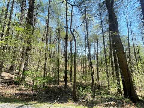 Lot 2 Mountain Meadows Rd, Franklin, NC 28734