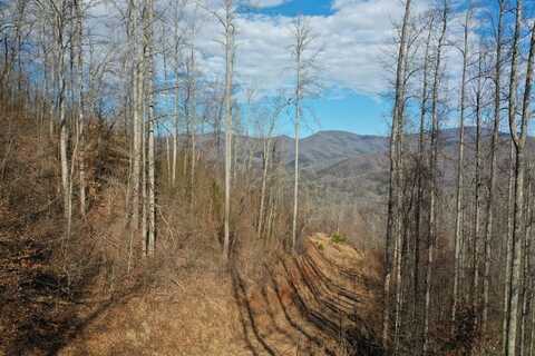 Lyle Mountain Trail, Franklin, NC 28734