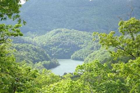 Lot 29 Fontana Lake Way, Bryson City, NC 28713