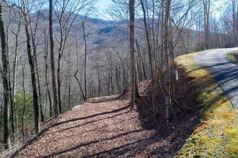 Lot 140 Birdymay Dr., Tuckasegee, NC 28783