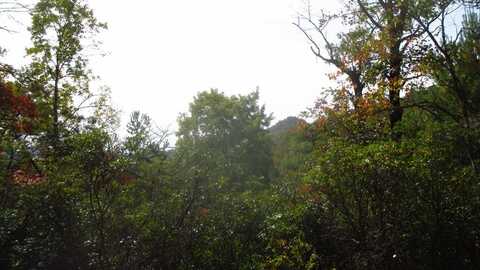 Lot 40 The Knoll, Bryson City, NC 28713