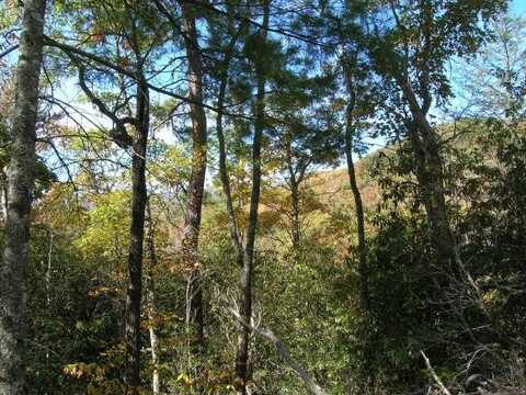 Lot 4 Chimneytop Heights, Bryson City, NC 28713