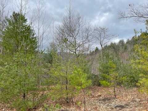 Tract 1 Lullwater Ranch Acres, Franklin, NC 28734