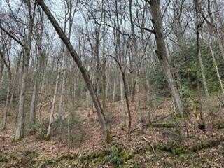 Lower Sawyers Creek, Robbinsville (Graham), NC 28771