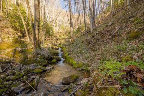 Buff Creek Road, Sylva, NC 28779