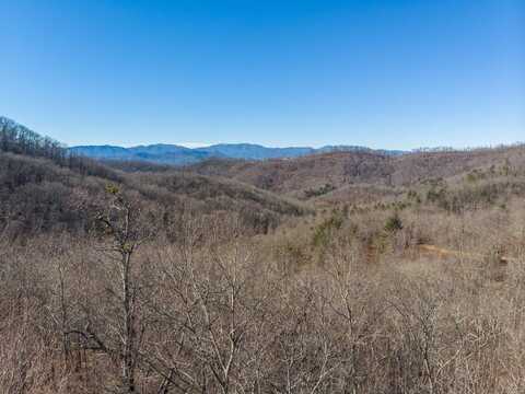 Area 2 Hickory Knoll Ridge Road, Franklin, NC 28734