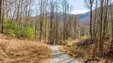 Allison Watts Road, Franklin, NC 28734