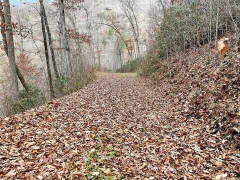 Lot 20 Starry Drive, Bryson City, NC 28713