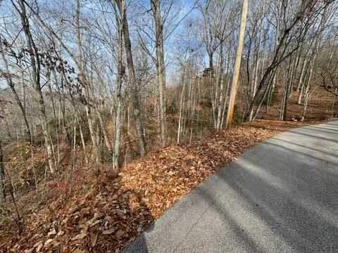 Franklin Farm Rd, Franklin, NC 28734