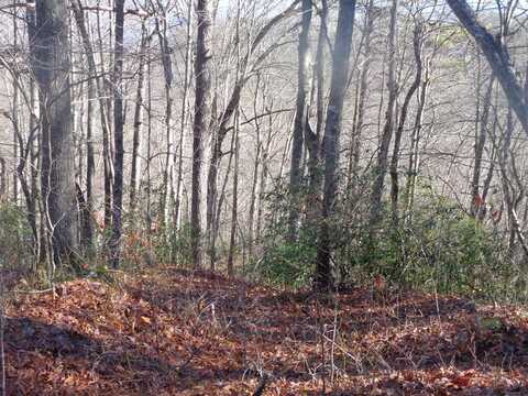 Lot 20 Vail Pass Rd, Whittier, NC 28789