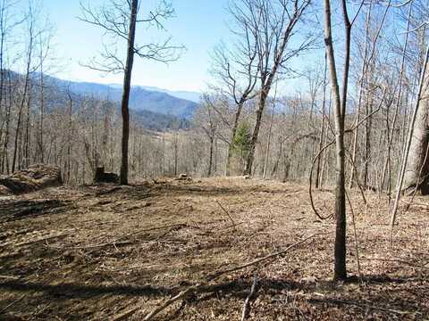 Hemlock Falls Rd, Franklin, NC 28734