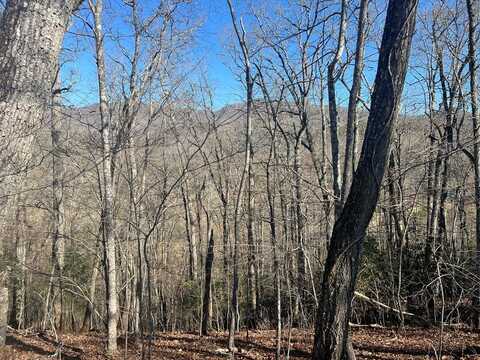 Lot 36 Reserve Rd, Franklin, NC 28734