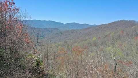 Grizzly Ridge, Bryson City, NC 28713