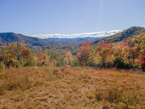 2500 Leatherman Gap Road, Franklin, NC 28734