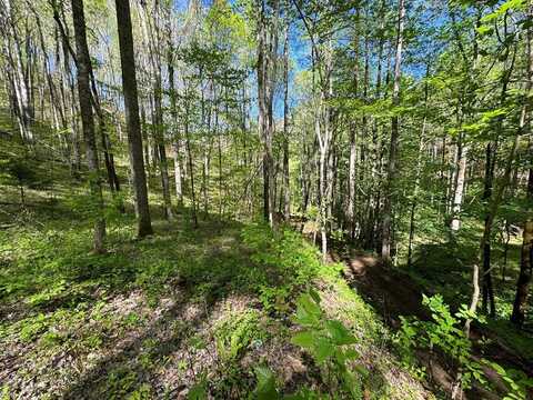 East Silvermine, Bryson City, NC 28713