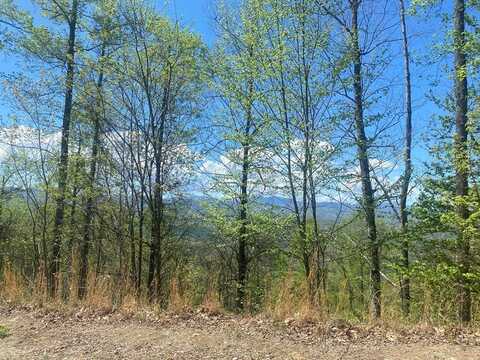 Lot 38 Fulcher Vistas, Franklin, NC 28734