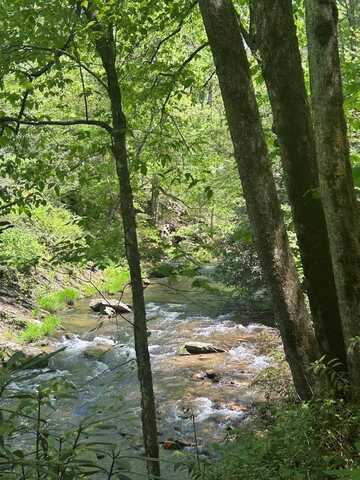 Lee Cochran Rd, Bryson City, NC 28713