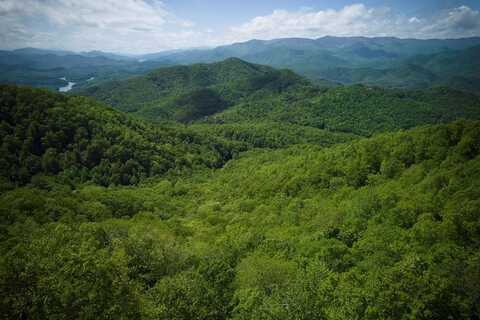 Black Forest Dr, Bryson City, NC 28713