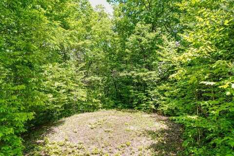 Lot 52 Highlands Pass, Franklin, NC 28734