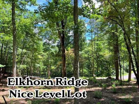 Lot 44 Elkhorn Ridge Dr, Franklin, NC 28734