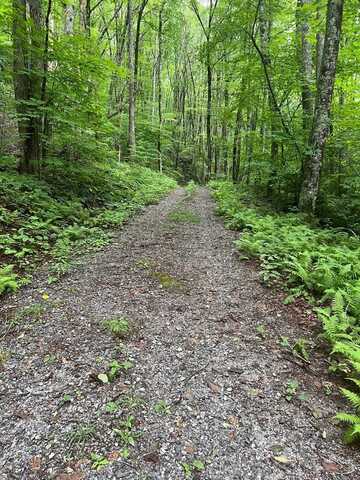 Walnut Gap Rd, Cashiers, NC 28717