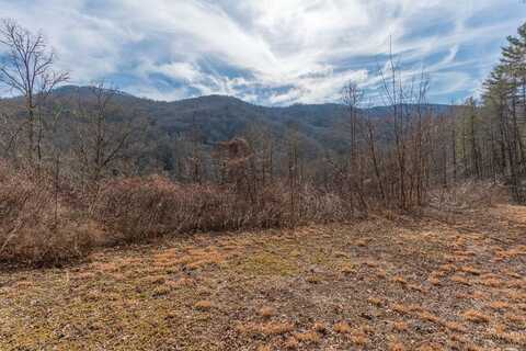 2220 Tr2 Tilley Creek Rd, Cullowhee, NC 28723