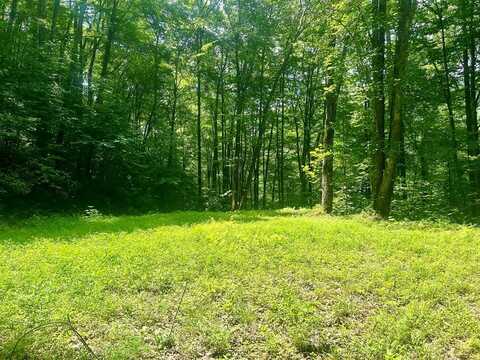 Lot 22 Long Creek Preserve, Bryson City, NC 28713