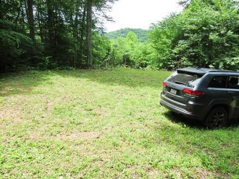 Lot 3 Berry Cove Rd, Franklin, NC 28734