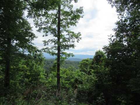 Lot 13 Berry Cove Rd, Franklin, NC 28734