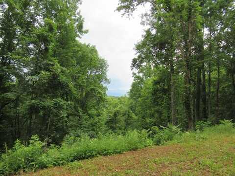 Lot 16 Berry Cove Rd, Franklin, NC 28734