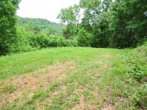 Lot 10 Berry Cove Rd, Franklin, NC 28734