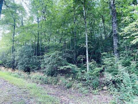 Lot 3 Rock and Roll Ln, Sylva, NC 28779