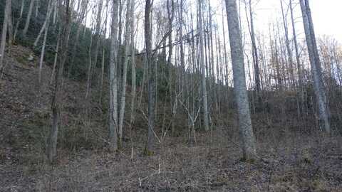 Lot 16 Red Hawk Bluff, Dillsboro, NC 28725