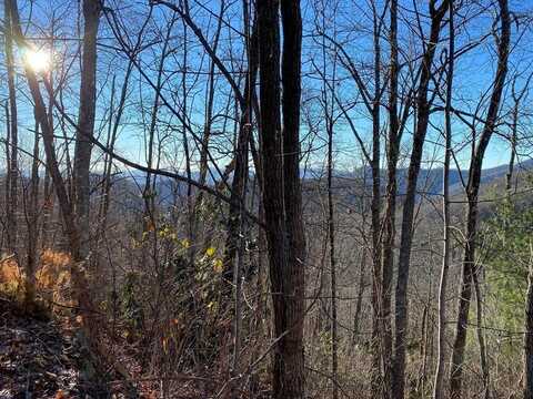 Hickory Nut Trail, Sylva, NC 28779