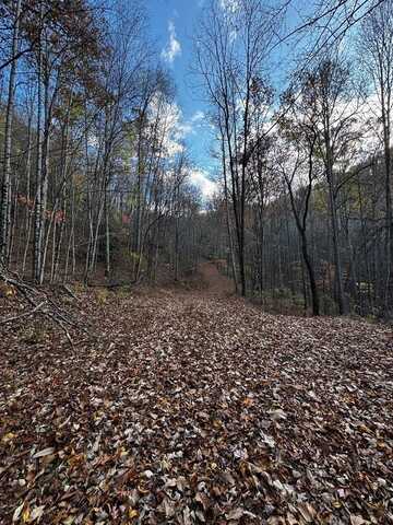 449 Trillium Branch Road, Bryson City, NC 28713