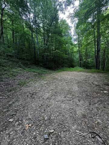 Lot16&19 Black Forest, Bryson City, NC 28713