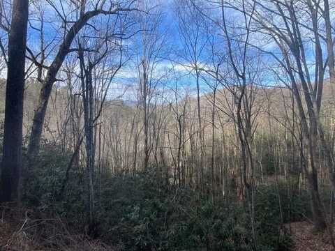 Lot D-3 Briggs Cove Road, Robbinsville (Graham), NC 28771