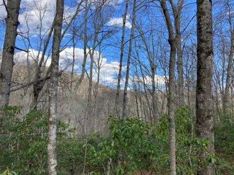 484 OAK RIDGE RD, Tuckasegee, NC 28783